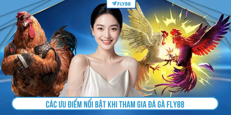 Các ưu điểm nổi bật khi tham gia đá gà FLY88