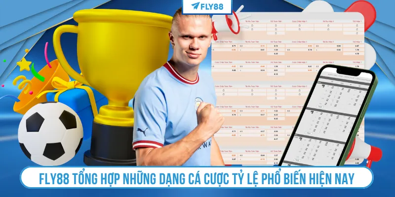 FLY88 tổng hợp những dạng cá cược tỷ lệ phổ biến hiện nay