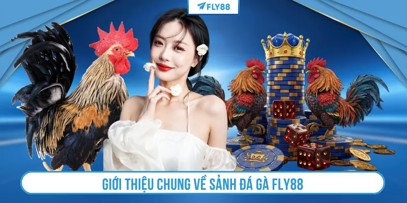 Giới thiệu chung về sảnh đá gà FLY88