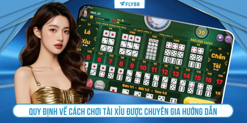 Quy định về cách chơi tài xỉu được chuyên gia hướng dẫn
